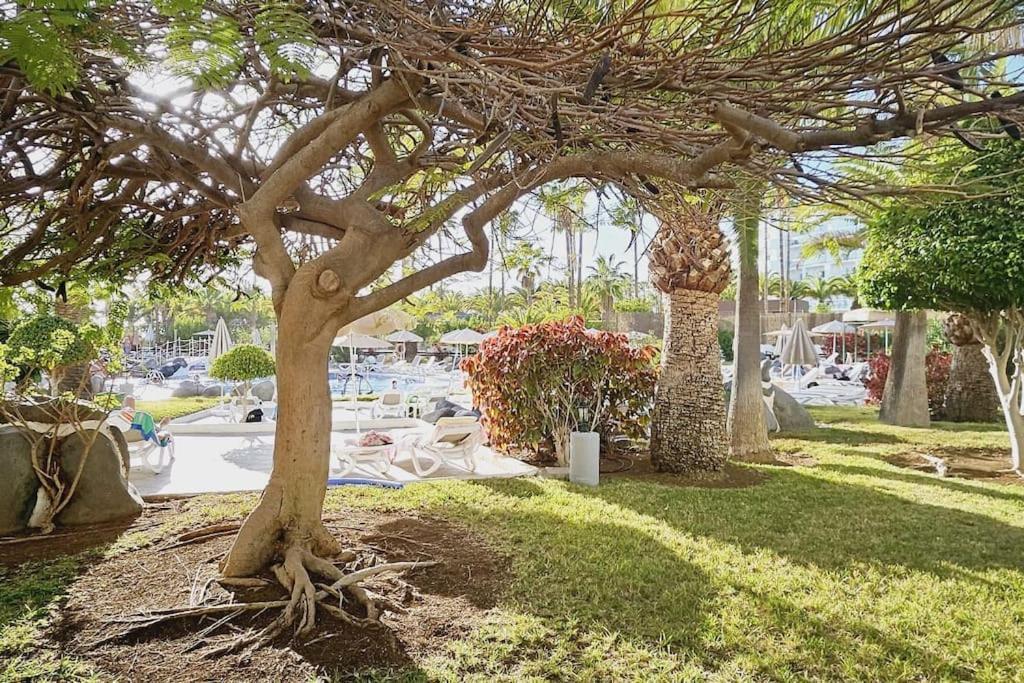 Appartement Altamira Paradise Costa Adeje (Tenerife)