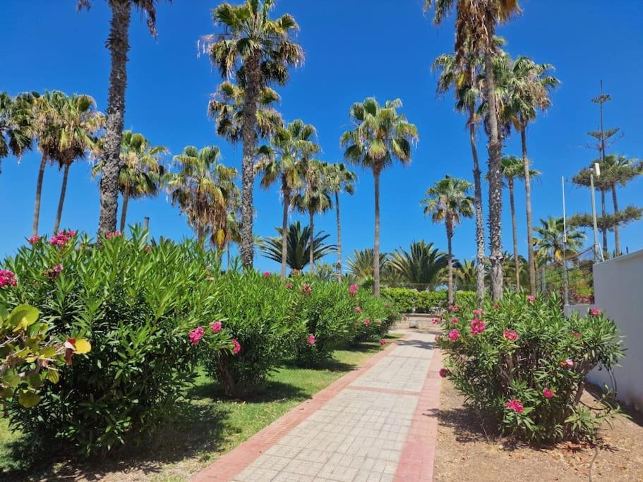 Appartement Altamira Paradise *